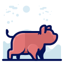 animal icon