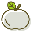 fruta icon