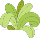 naturaleza icon