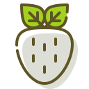 morango icon