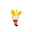 Pot 