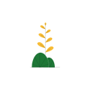 naturaleza icon