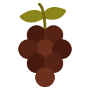 uvas icon