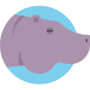 hipopótamo 
