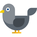 pájaro icon