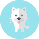 gato icon