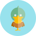 pato icon