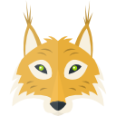 coyote 