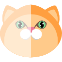 gato icon