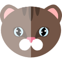 gato icon