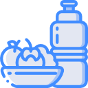 saludable icon