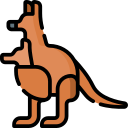 canguro icon