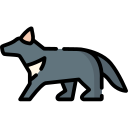 wombat 