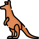 wallaby