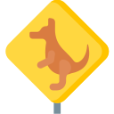 canguro icon