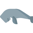 dugong 