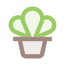 pot 