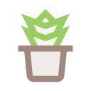 panela 