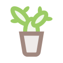 pot 
