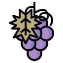 fruta icon