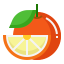 saludable icon