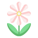 Цветок icon