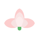 Цветок icon