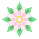 pétalas 