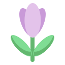 꽃 