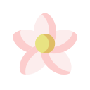 Цветок icon