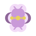 꽃 