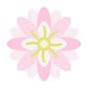 flor 