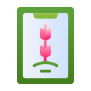 naturaleza icon