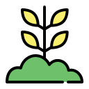 naturaleza icon