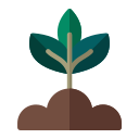 naturaleza icon