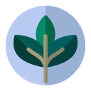 naturaleza icon