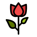 Цветок icon