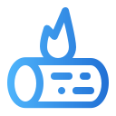 Fire icon