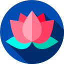 flor de lotus 