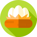 huevos icon