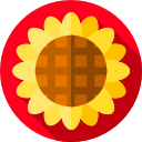 girasol icon