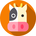 vaca icon