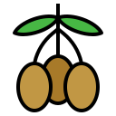 fruta icon