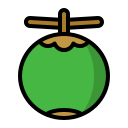 fruta icon