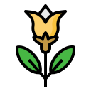 naturaleza icon