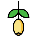 fruta icon