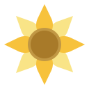 꽃 
