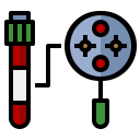 laboratorio 