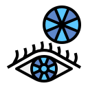 ojo icon