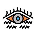 ojo icon